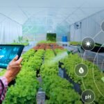 The Role of Technology in Modern Agriculture