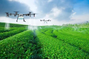 Drones in Agriculture